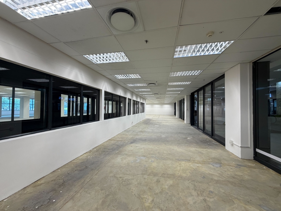 To Let Commercial Property for Rent in Cape Town City Centre Western Cape